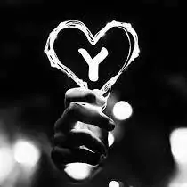 stylish y letter dp